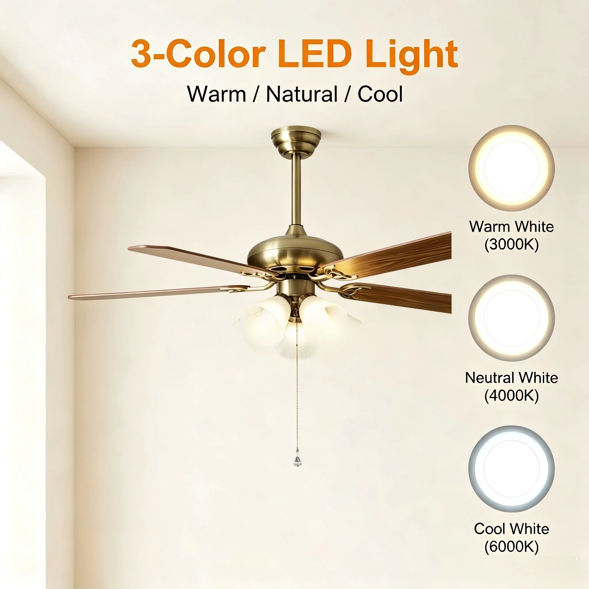 Specifications