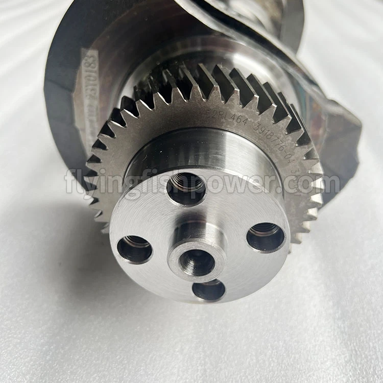 Genuine Quality 6CT 8.3L 6CT8.3 6D114 Engine Crankshaft 3917320 