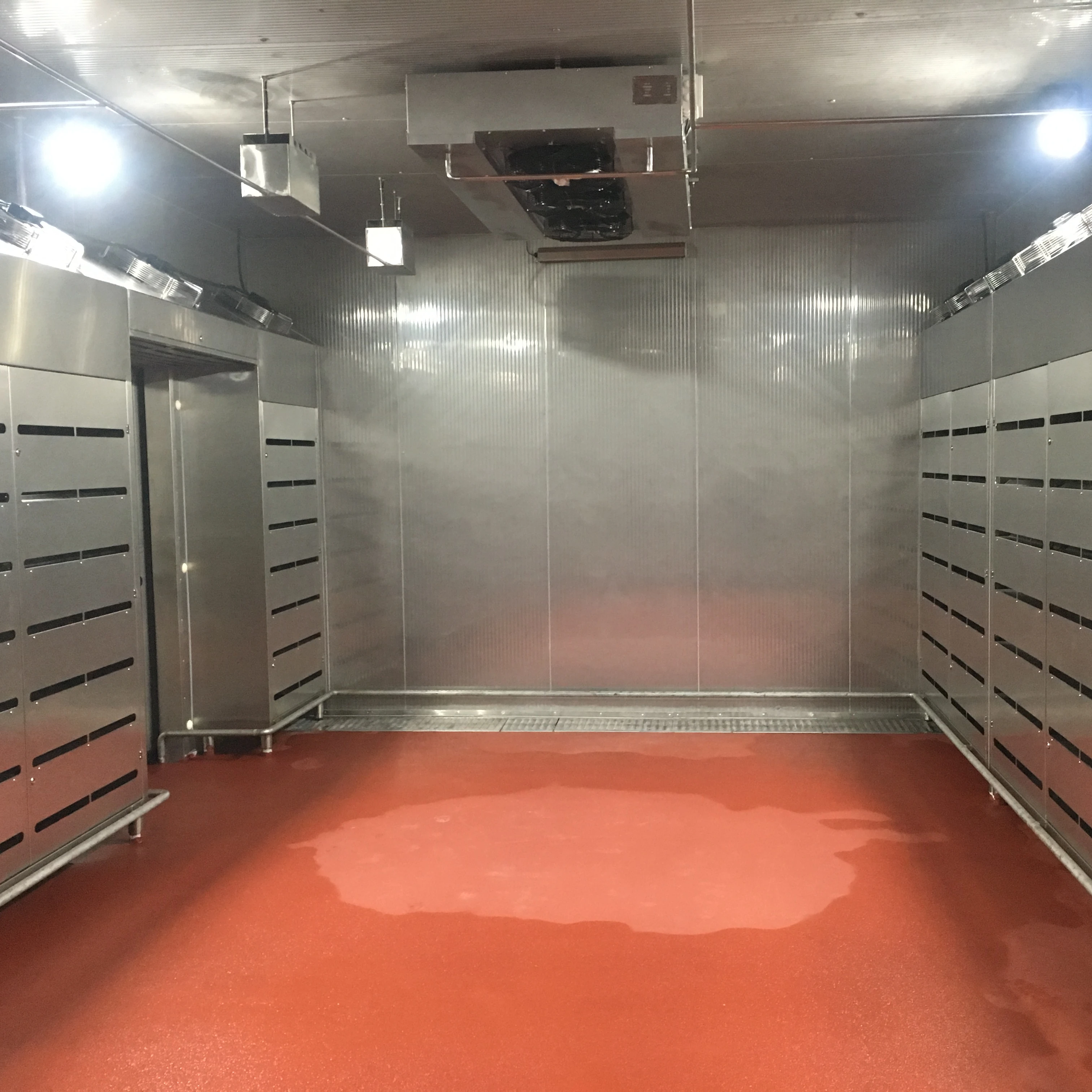 Advanced thawing chamber for frozen food processing with precise temperature and humidity control