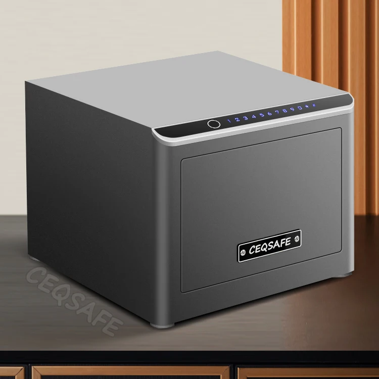 CEQSAFE TUYA APP WIFI SAFE BOX Portable Home Anti-Theft Safes with Fingerprint Password Secure Steel Safe Box Mini Metal Storage