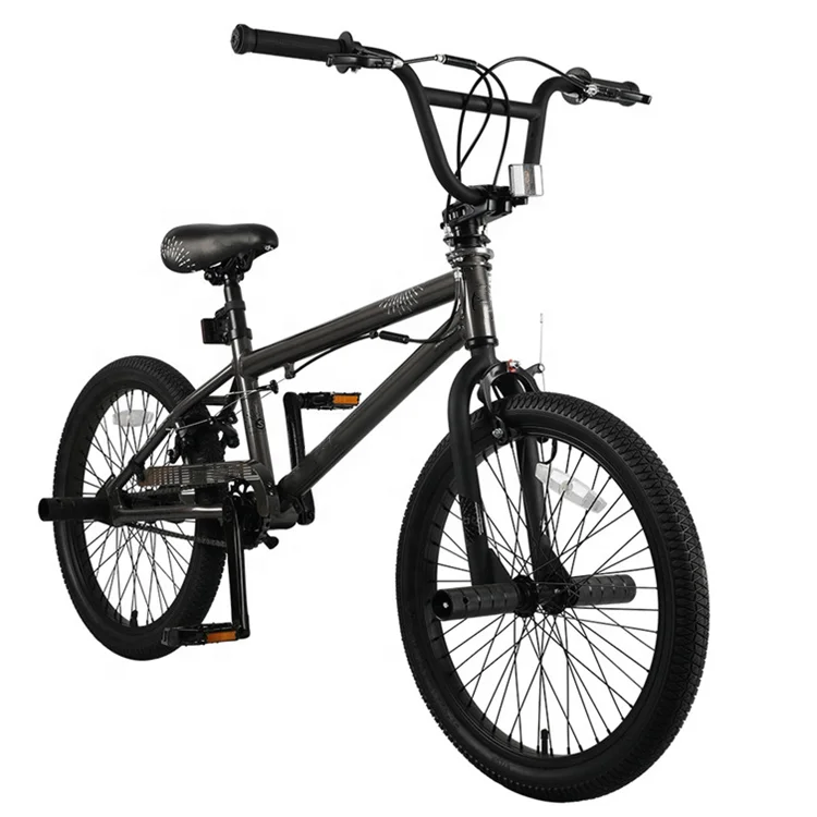 BMX Flybikes  20インチ　どですかでん BMX Flybikes 20インチ どですかでん様専用