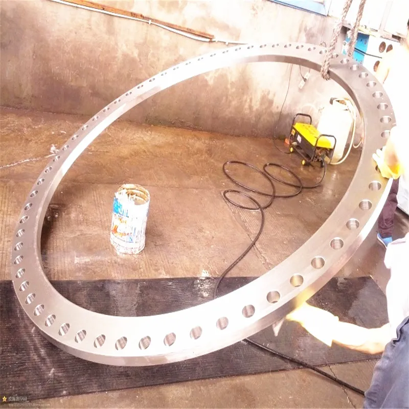 Drawing Customized Stainless Steel SS 304 316 EN1092-1 Type 01 PN10 PN16 DN300 PL  FF Flat Face Loose Plate Flange Plate Flange