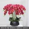 Bacino nero con orchidea rosa calda
