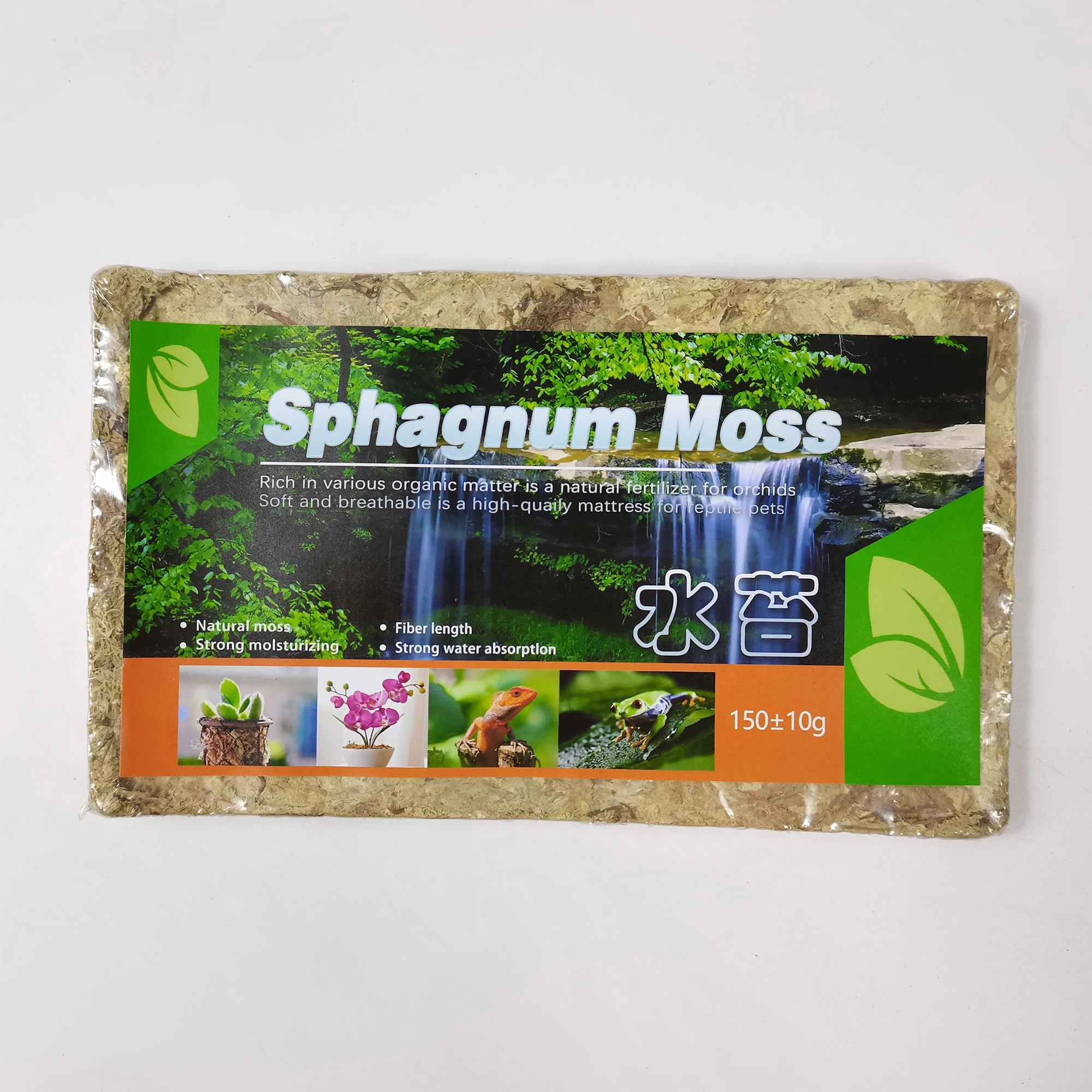 dried water sphagnum moss holding plant