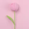 Pink-Fat Tulip single (large)
