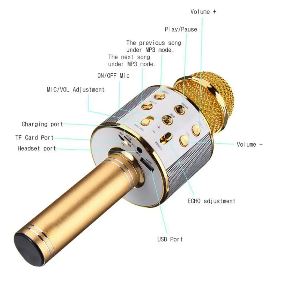 Karaoke microphone