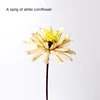 A White Cornflower [Send a Bundle of Flowers, Leaves and Hemp Ro