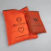 Translucence red zipper bag