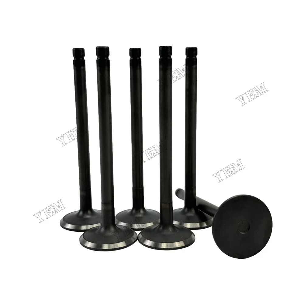 Exhaust Intake Valve Fit for Hino H07C Engine 5