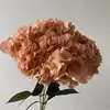 Café Naranja