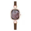 เชลล์ โรมัน บราวน์
