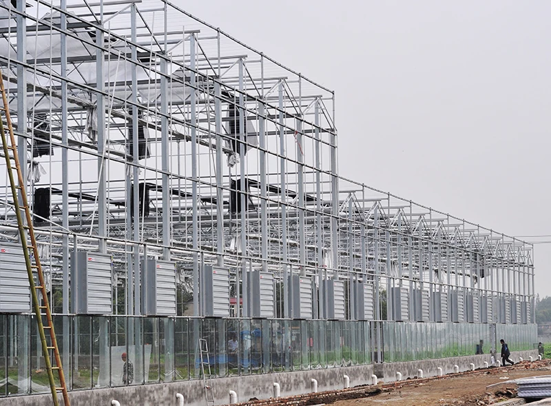Agricultural Commercial Greenhouse Venlo Glass Greenhouse Irrigation & Hydroponics Equipment