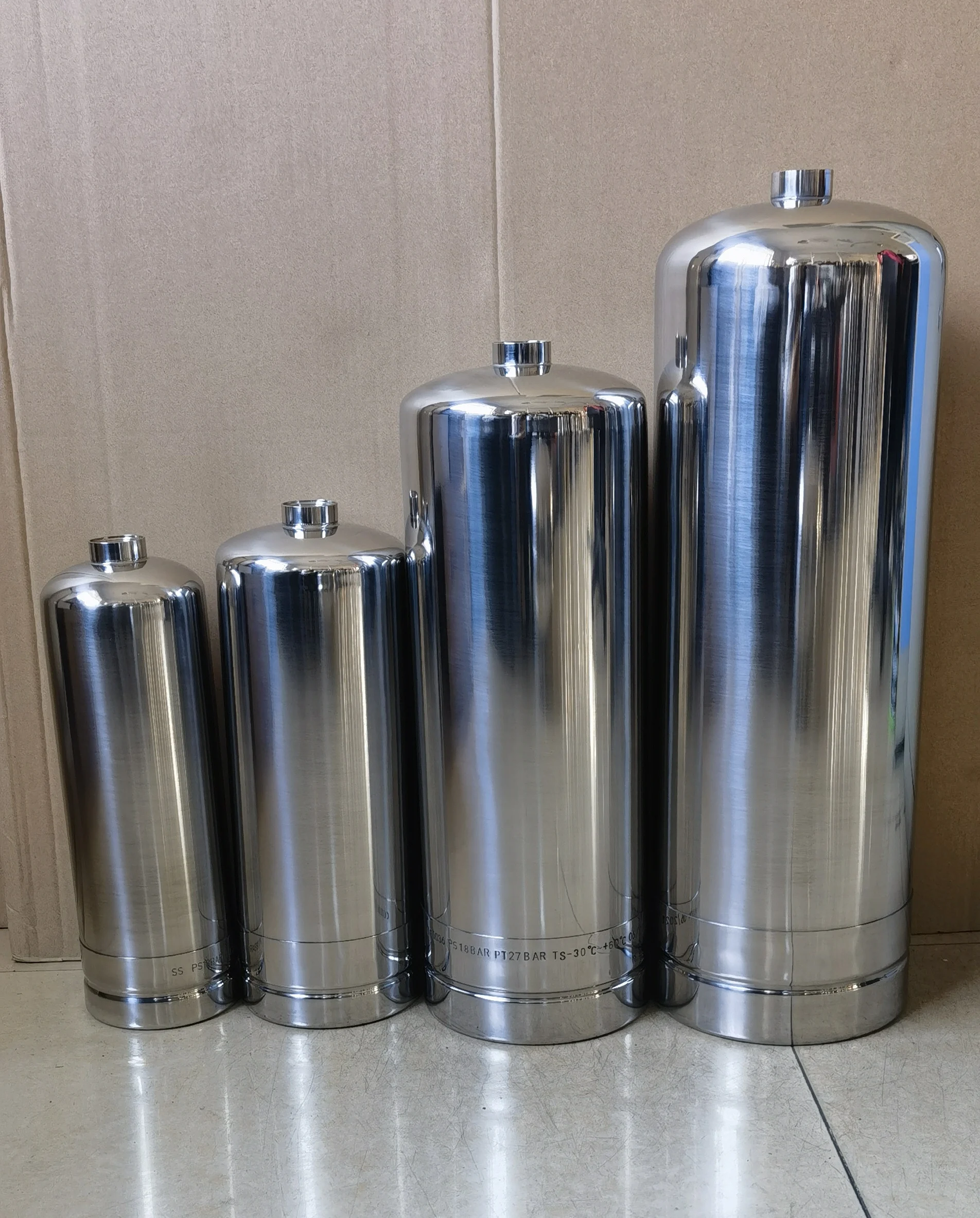 2L 3L 6L 9L Empty Type Stainless Steel SUS 304 Extinguisher with All the Fire Fighting Accessories