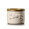 cheetah-250ml