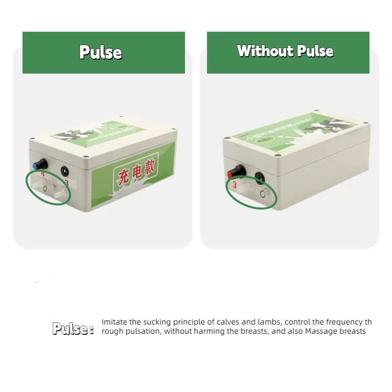 Poultry Electric Pulse Sheep Milking Machine 10L Cow Milking Collection Equipment Stainless Steel Small  Milking Machine