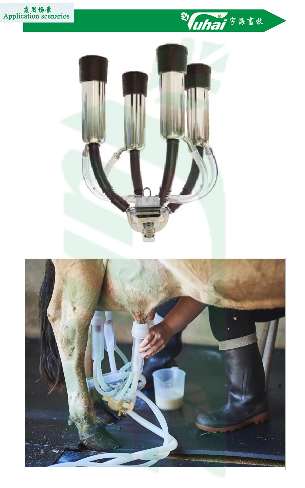 Cow Milking Machine Spare Parts Milk Claw,Milking Machines Parts 380cc ...