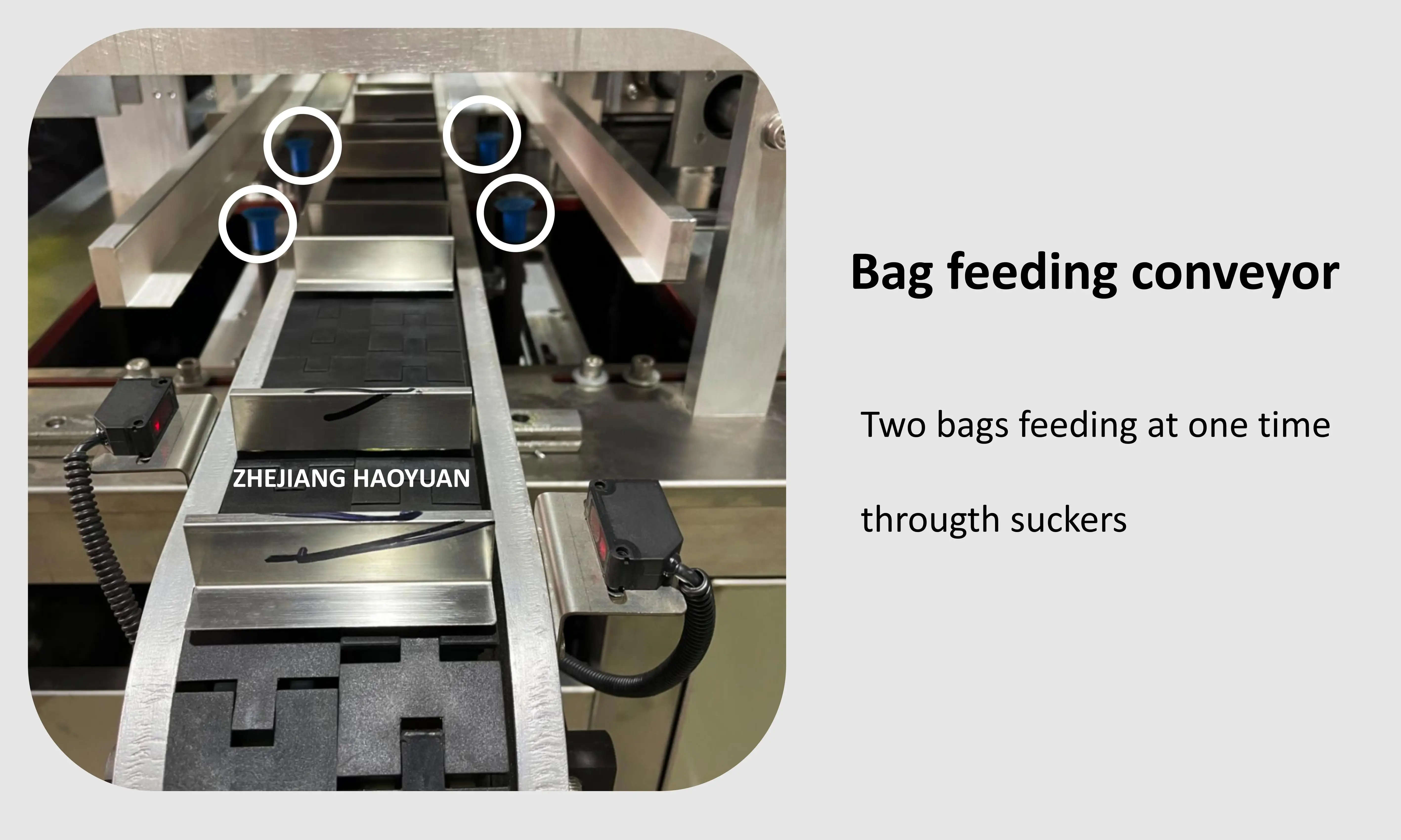 HY-200  High Quality Snack Premade Pouch Bag Filling and Sealing Packing Machine Biscuit Cookies Bag in Bag Packing Machine manufacture