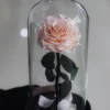 Pink Peach Color (without Light and Gift Box)