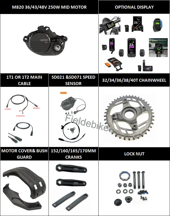 2025 Bafang M820 Mid Motor 250W 36V/43V/48V for E-MTB and E-Road