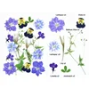 19ชิ้น/ถุง, JH-001