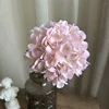 2# Rose