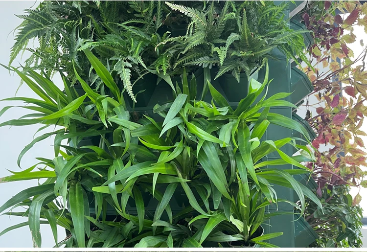 Green Vertical Garden Wall Planter Hanging Indoor Hydroponic Grow