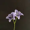 Sayuri viola a doppia testa