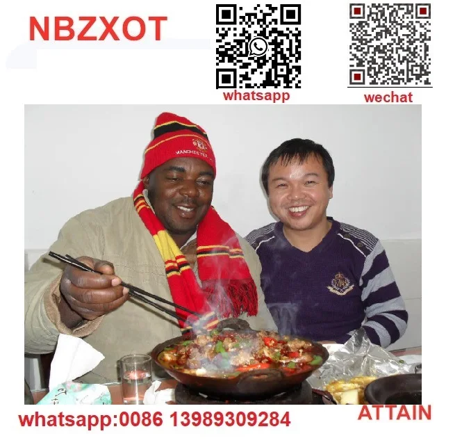 Ningbo Attain Auto Parts Co., Ltd.