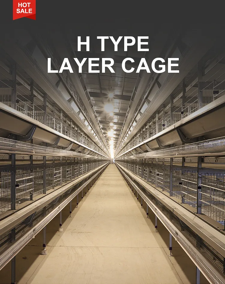 H TYPE LAYER CAGE (1).jpg