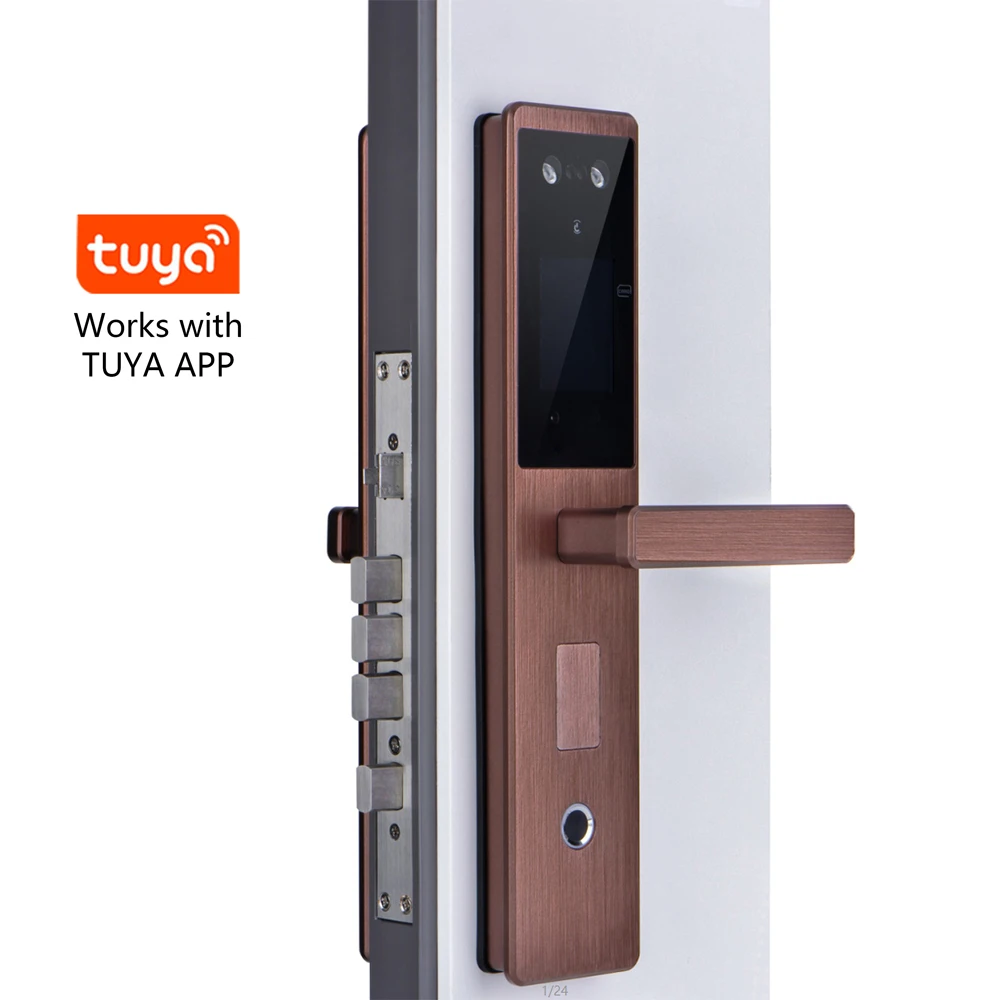Smart Hot Sale Password home Fingerprint Face Recognition Door Lock with Tuya app - Famidy.com
