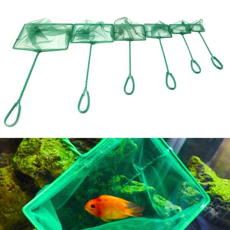 Green Nylon Aquarium Fish Net Soft Fine Mesh Fish Tank Net Safe for Fish Shrimp Aquarium Accessories Green Nylon Aquarium Fish Net Soft Fine Mesh Fish Tank Net Safe for Fish Shrimp Aquarium Accessories