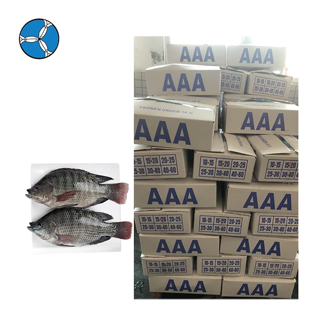 Низкая цена рыба замороженная черная Тилапия оптовая продажа
