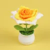 Pointed gradient yellow rose potted plant