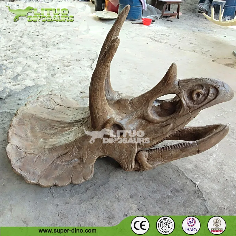 実物大のリアルなトリケラトプスの頭蓋骨（博物館用）| Alibaba.com