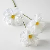 fiore della felicità bianco