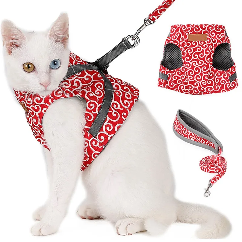 cat vest harness and leash
