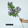 Grand violet