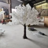 Bianco 3