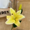 Giallo