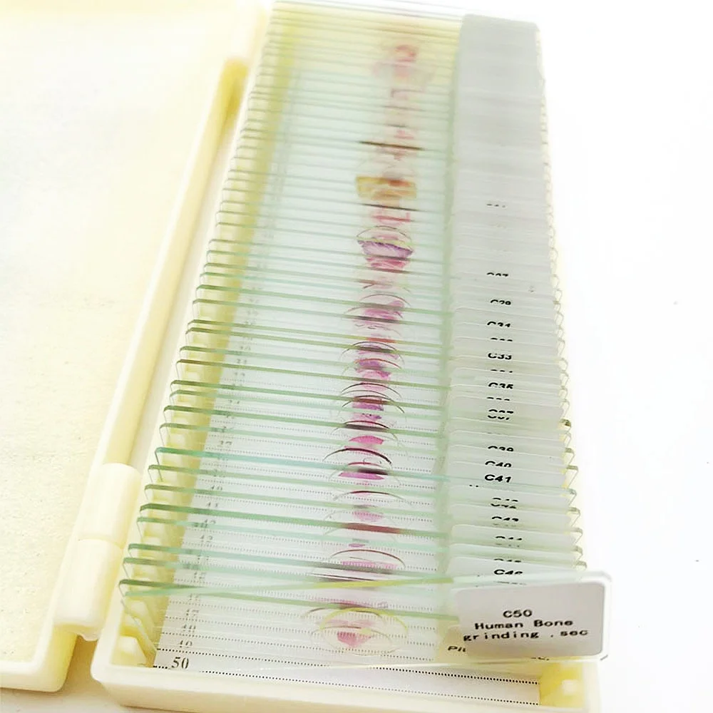 50支人体组织学组织制备显微镜载玻片| Alibaba.com, image size:1000x1000