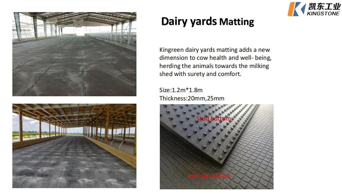 6mpa Dlg Test 100 Recycled Highdensity Revulcanized Rubber Cow Mat Buy Rubber Floorings,Cow