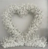 Baby breath white