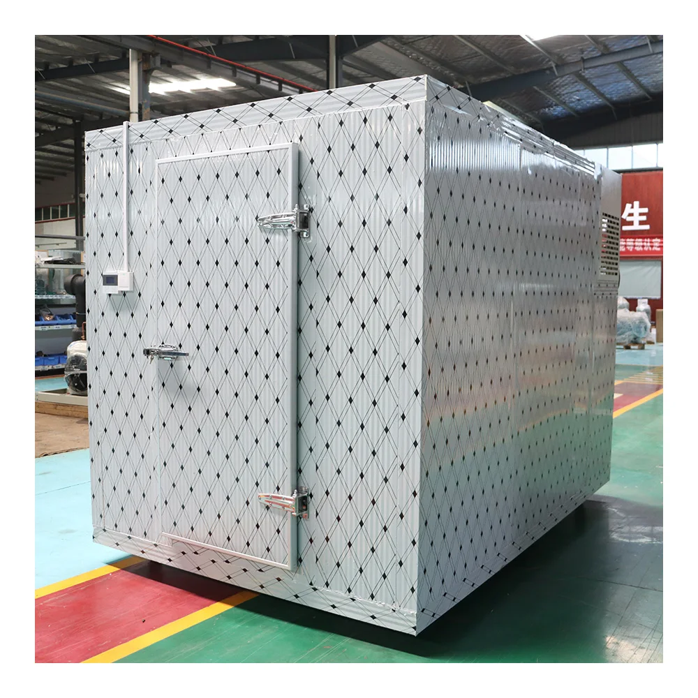 Mobile Walk in Freezer Large Cold Storage Room Vegetables Fruits Meat Cold Room