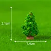 Albero Corto N.13