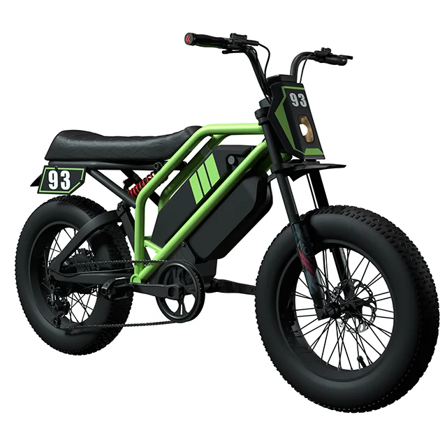 1500W Ebike 2023 Powerful 52V Electric Bike with 20