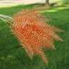 orange color