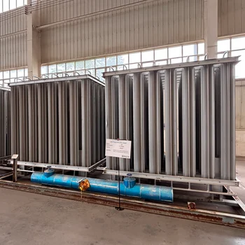 Hot Sale Natural Gas Regulating Skid LNG Gasifier for Regasification and Gas Evaporation