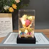 orso rosa