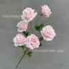 กุหลาบสีชมพู 6 หัว