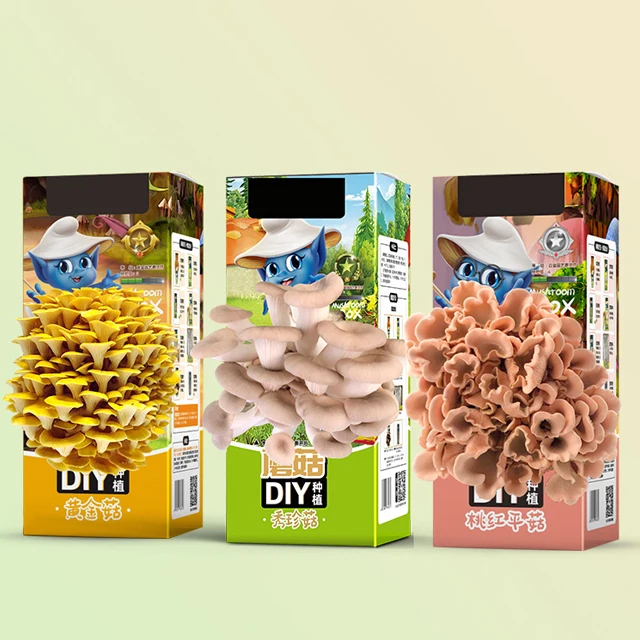 Wholesale Mushrooms Growing Kit Oyster Mushroom Grow Kit Buy